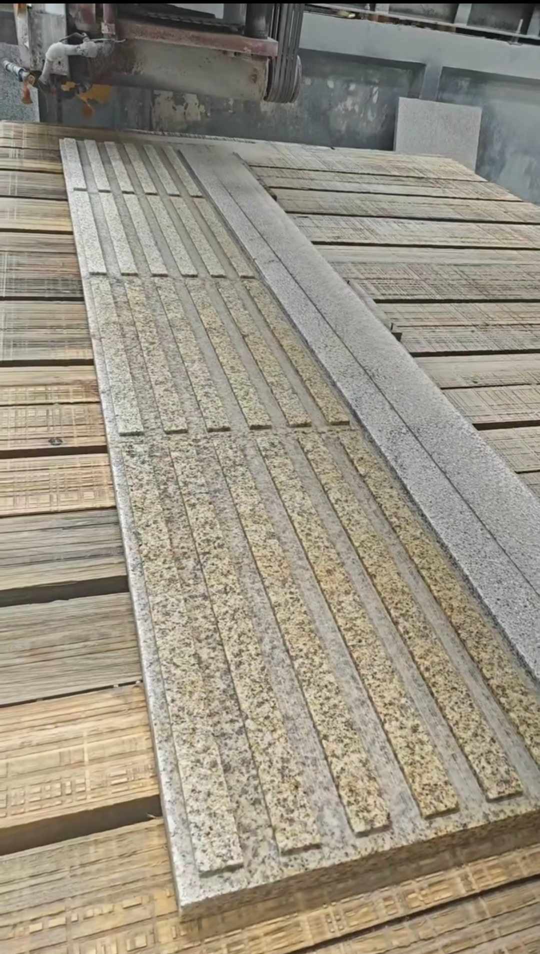 巴彦淖尔黄金麻盲道石 盲条